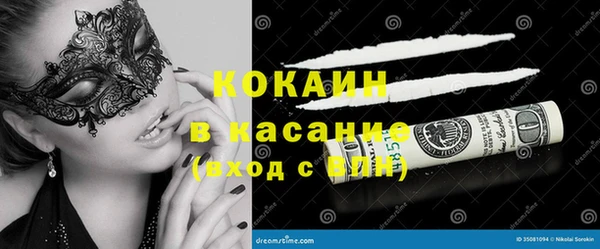 дживик Бородино