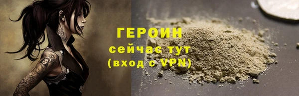 дживик Бородино
