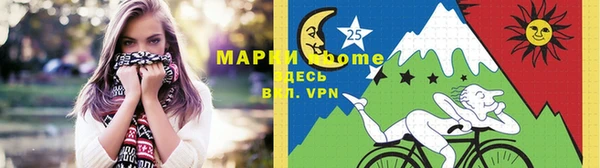 дживик Бородино