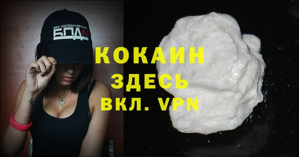 дживик Бородино