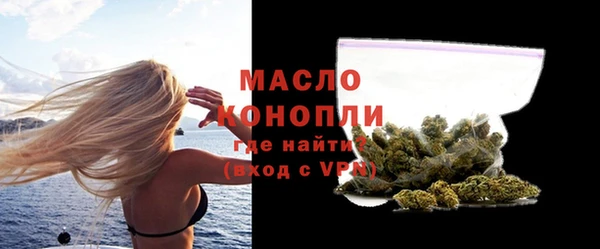 дживик Бородино