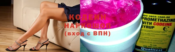 дживик Бородино