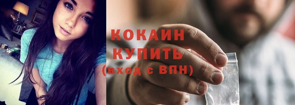 дживик Бородино