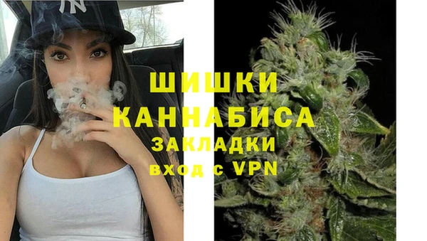 дживик Бородино