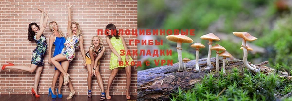 дживик Бородино