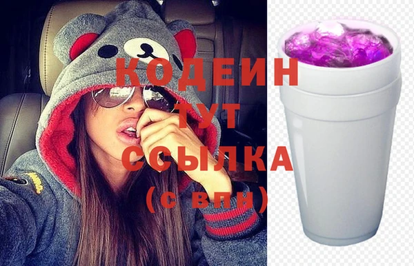 дживик Бородино