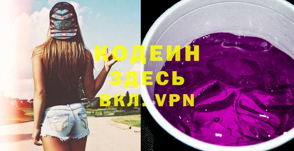 дживик Бородино