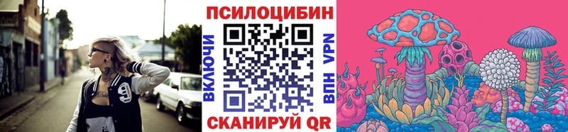 Псилоцибиновые грибы мицелий Кедровый