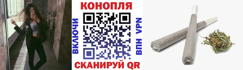 цена   Кедровый  Канабис планчик 